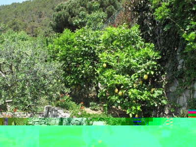 IMG_4121 (2).jpg (342.63 KiB) Osservato 751 volte IMG_4121 (2).jpg