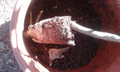 IMG-20160729-WA0003.jpg (89.1 KiB) Osservato 2816 volte IMG-20160729-WA0003.jpg