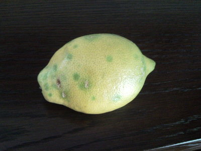 SNC00047.jpg (126.18 KiB) Osservato 4332 volte SNC00047.jpg