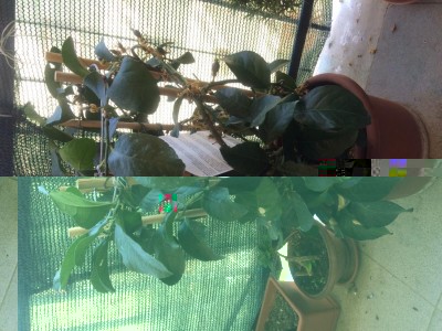 image.jpeg (145.79 KiB) Osservato 1076 volte image.jpeg