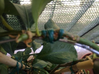 image.jpeg (108.27 KiB) Osservato 1076 volte image.jpeg