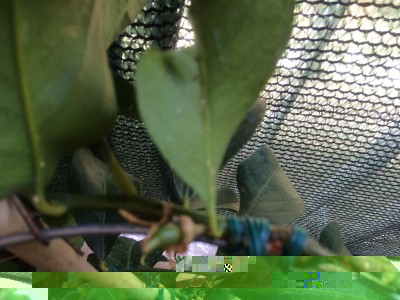 image.jpeg (104.83 KiB) Osservato 1076 volte image.jpeg