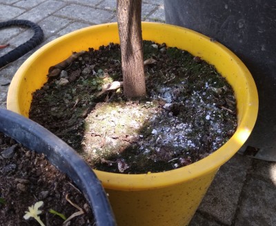 2018.jpg (355.36 KiB) Osservato 1268 volte 2018.jpg