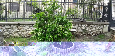 20190512_113716.jpg (163.08 KiB) Osservato 601 volte 20190512_113716.jpg