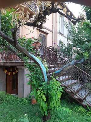 foto allegata / xxx.jpg xxx.jpg