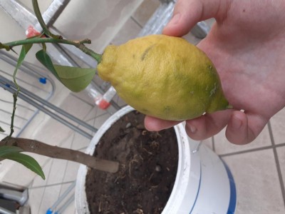 15875742733953793352622016309926.jpg (67.34 KiB) Osservato 513 volte 15875742733953793352622016309926.jpg