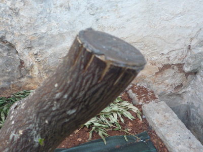 P1060641.JPG (106.93 KiB) Osservato 3038 volte P1060641.JPG