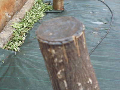 P1060645.JPG (104.17 KiB) Osservato 3038 volte P1060645.JPG