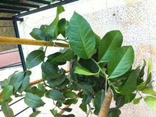 foto_1.JPG foto_1.JPG