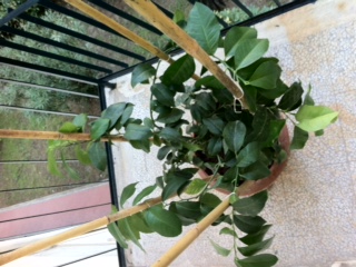 foto_3.JPG foto_3.JPG