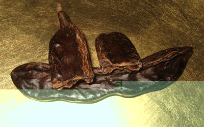 carrube.JPG (89.22 KiB) Osservato 5890 volte carrube.JPG