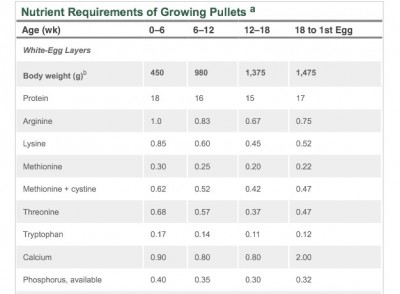 image.jpg (53.13 KiB) Osservato 5462 volte image.jpg