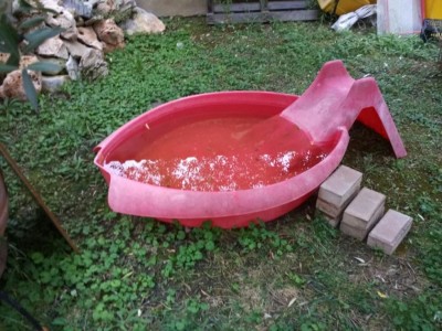 Laghetto / IMG_20161005_181014_1475683910589.jpg IMG_20161005_181014_1475683910589.jpg