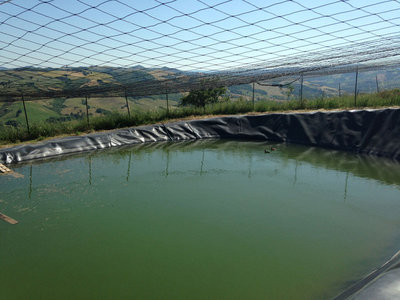 lago.jpg (143.2 KiB) Osservato 4302 volte lago.jpg