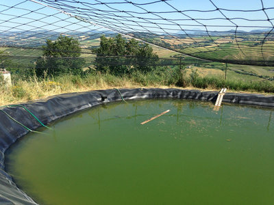 lago2.jpg (185.76 KiB) Osservato 4302 volte lago2.jpg