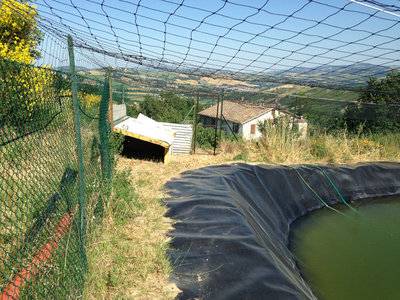 lago6.jpg (259.87 KiB) Osservato 4302 volte lago6.jpg