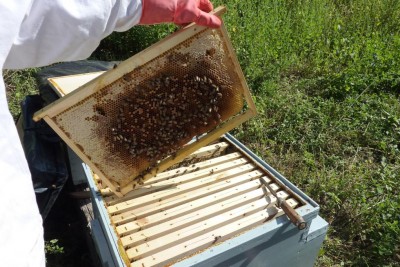 n.1 / P1050992.jpg P1050992.jpg