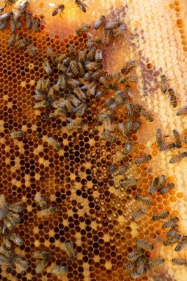 n2 / P1050994.jpg P1050994.jpg