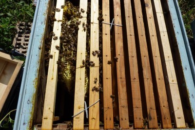 n3 / P1050991.jpg P1050991.jpg