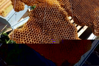 n4 / P1050989.jpg P1050989.jpg