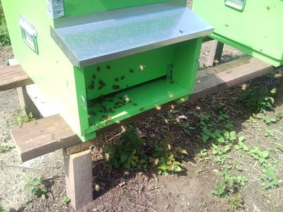 SNC01357.jpg (165.87 KiB) Osservato 962 volte SNC01357.jpg