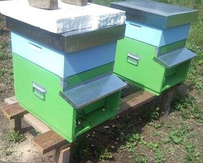 SNC01358.jpg (145.9 KiB) Osservato 962 volte SNC01358.jpg