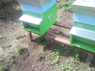 SNC01359.jpg (184.86 KiB) Osservato 962 volte SNC01359.jpg