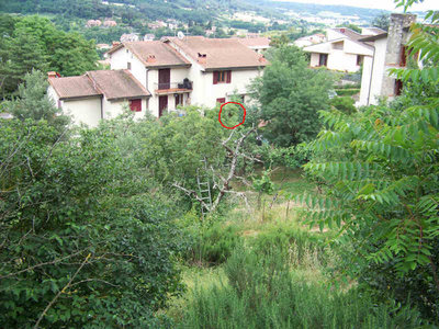 Sciame_Calcinaia_1_01-800x600.jpg (71.83 KiB) Osservato 1192 volte Sciame_Calcinaia_1_01-800x600.jpg