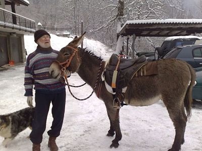 George in versione invernale / image.jpg image.jpg