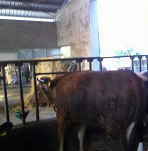 IMG_20160110_154119.JPG IMG_20160110_154119.JPG