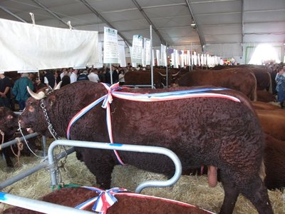 Immagine 2047.jpg (163.18 KiB) Osservato 1043 volte Immagine 2047.jpg