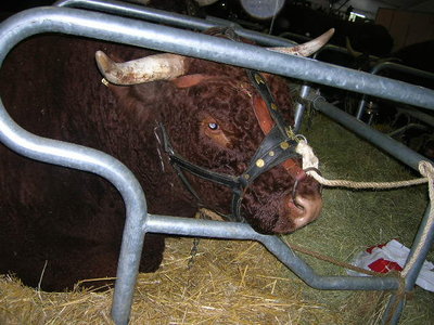 Immagine 1825.jpg (95.48 KiB) Osservato 1043 volte Immagine 1825.jpg