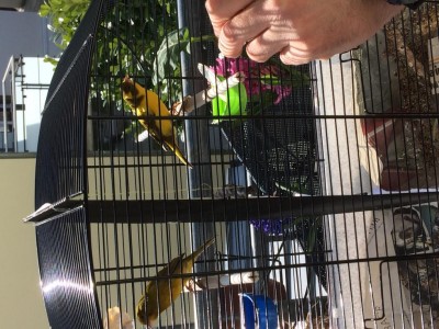 IMG_0016.JPG (148 KiB) Osservato 2277 volte IMG_0016.JPG