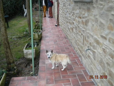 Immagine 314.jpg (104.56 KiB) Osservato 1008 volte Immagine 314.jpg