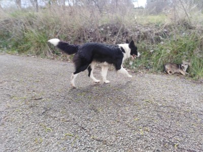 IMG_20200308_135208.jpg (163.17 KiB) Osservato 1659 volte IMG_20200308_135208.jpg