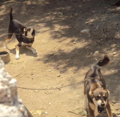 q.jpg (145.23 KiB) Osservato 1342 volte q.jpg