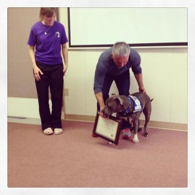 27119_10151619611029954_1602328480_n.jpg (23.67 KiB) Osservato 649 volte 27119_10151619611029954_1602328480_n.jpg