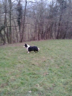 IMG-20141228-WA0020.jpg (55.11 KiB) Osservato 1056 volte IMG-20141228-WA0020.jpg