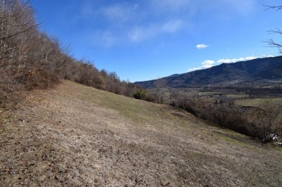 IMG_0788.JPG (133.91 KiB) Osservato 2088 volte IMG_0788.JPG