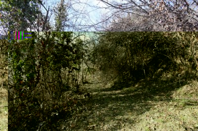 IMG_0795.JPG (220.51 KiB) Osservato 2087 volte IMG_0795.JPG