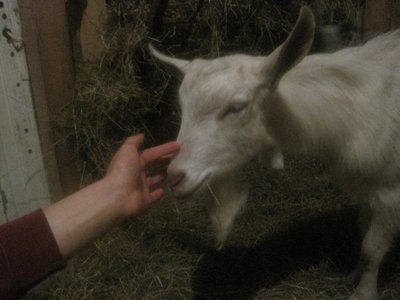 188861_1798166246887_1621687500_31826130_7096750_n.jpg (50.38 KiB) Osservato 1168 volte 188861_1798166246887_1621687500_31826130_7096750_n.jpg