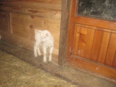 195943_1798157566670_1621687500_31826105_1971184_n.jpg (56.54 KiB) Osservato 1166 volte 195943_1798157566670_1621687500_31826105_1971184_n.jpg