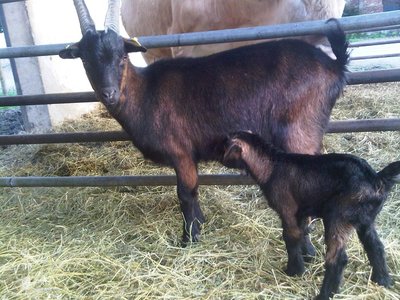 Val1.jpg (192.07 KiB) Osservato 1633 volte Val1.jpg