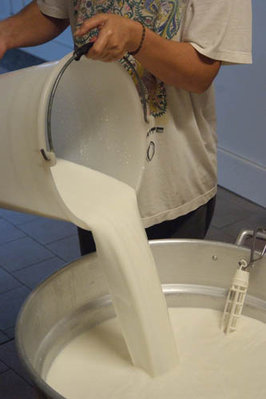 DSCF2999.jpg (41.14 KiB) Osservato 1326 volte DSCF2999.jpg