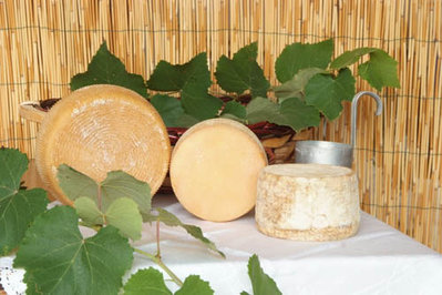 DSCF3218.jpg (61.99 KiB) Osservato 1326 volte DSCF3218.jpg