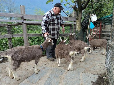 DSC00217.JPG (109.17 KiB) Osservato 1637 volte DSC00217.JPG