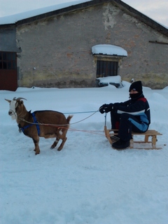 20120205163316.jpg 20120205163316.jpg