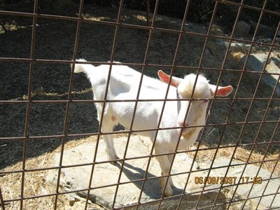 IMG_1558.JPG (100.93 KiB) Osservato 851 volte IMG_1558.JPG