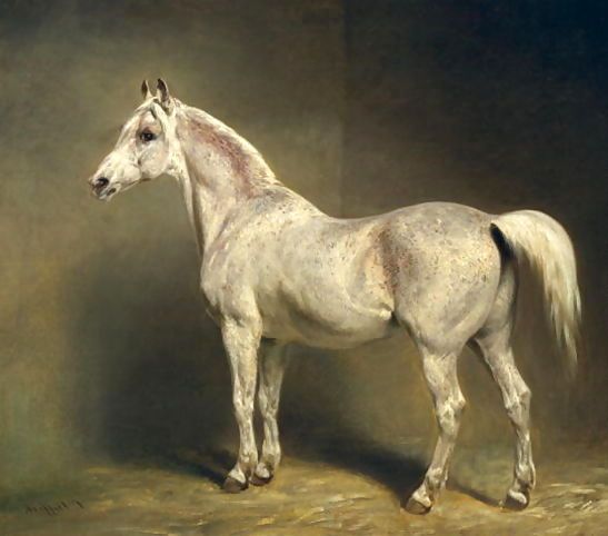 Carl Steffeck _ Beatrice, the white arab saddlehorse of Helmuth Graf von Moltke, 1855.jpg Carl Steffeck _ Beatrice, the white arab saddlehorse of Helmuth Graf von Moltke, 1855.jpg