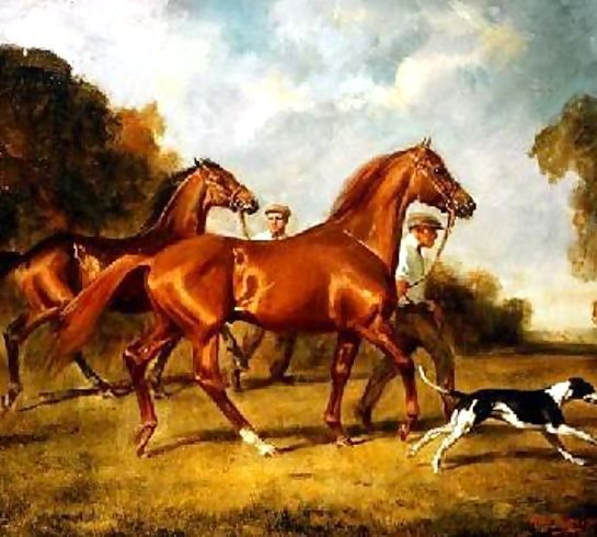 H. Raoul Millais _ Exercising the Horses.jpg H. Raoul Millais _ Exercising the Horses.jpg